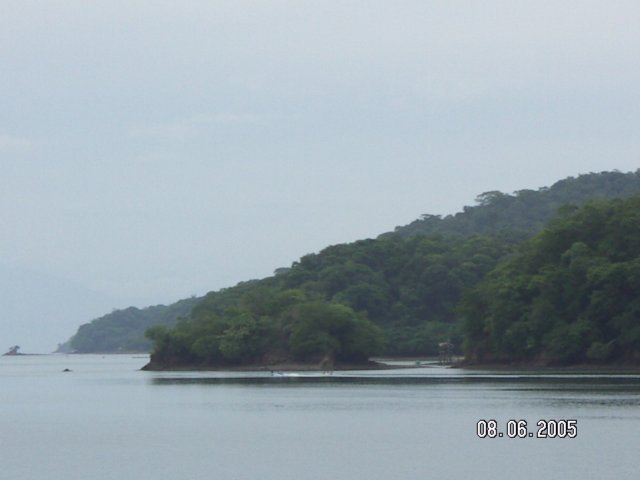 PICT0553.jpg