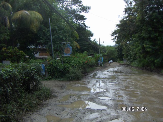 PICT0560.jpg