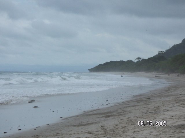 PICT0562.jpg