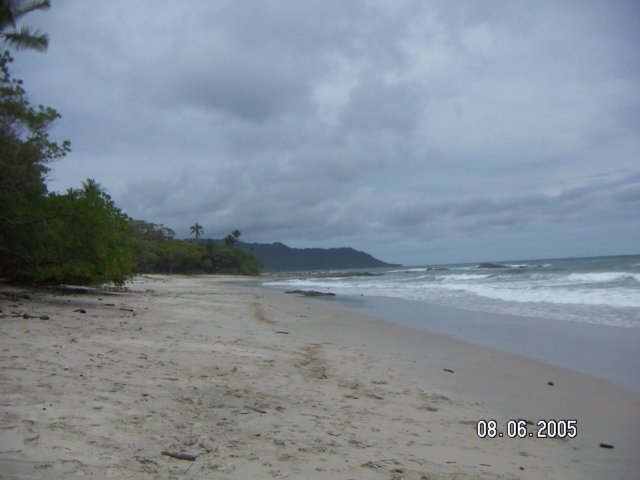 PICT0563.jpg