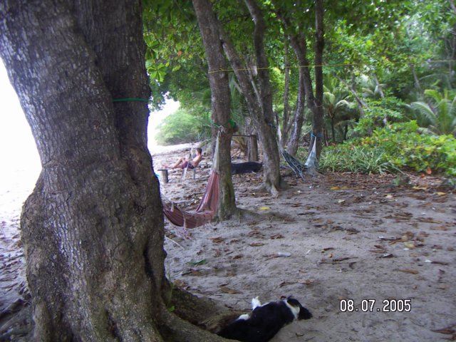 PICT0568.jpg