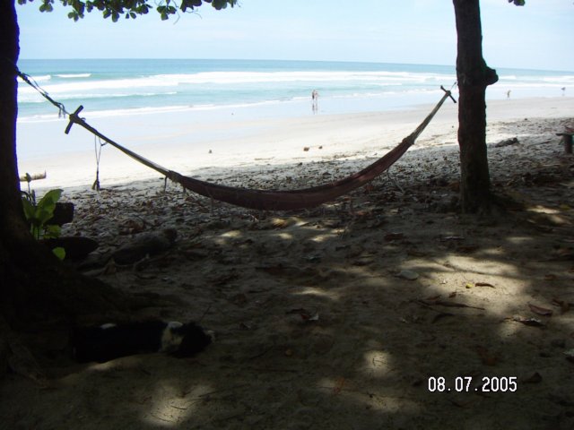 PICT0574.jpg