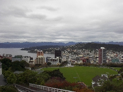 wellington.jpg