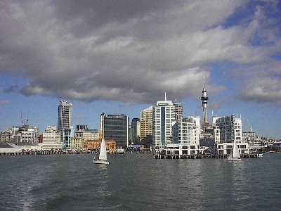 auckland.jpg