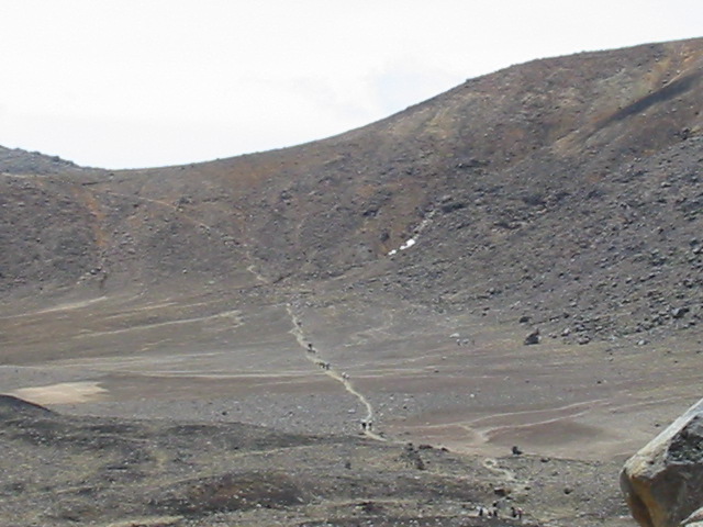 img_0450.jpg