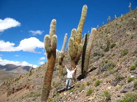 Dan with cactus friends