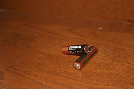 20051223 New Puppy 056.jpg