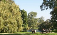 vondelpark.JPG