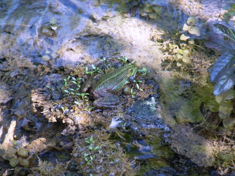 DSC01145.JPG