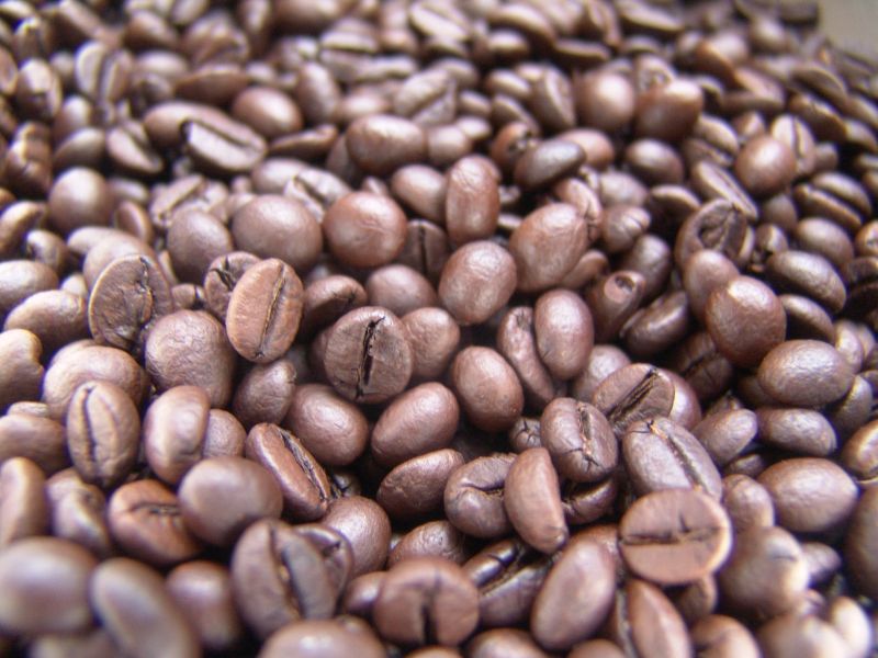 DSC04778_XinglongAndATasteOfCoffee.JPG