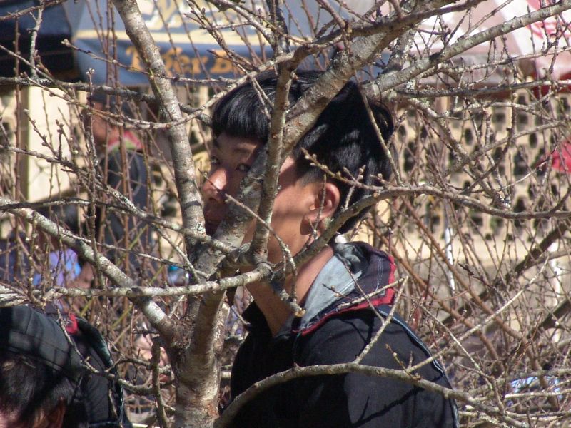DSC06000.JPG