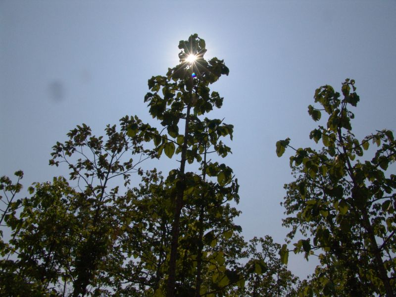 DSC07907.JPG