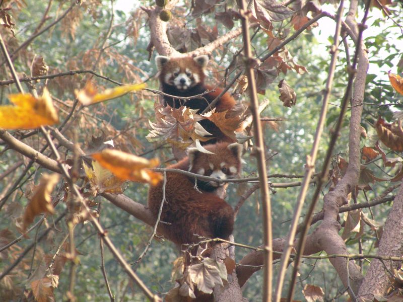 dsc03104.jpg