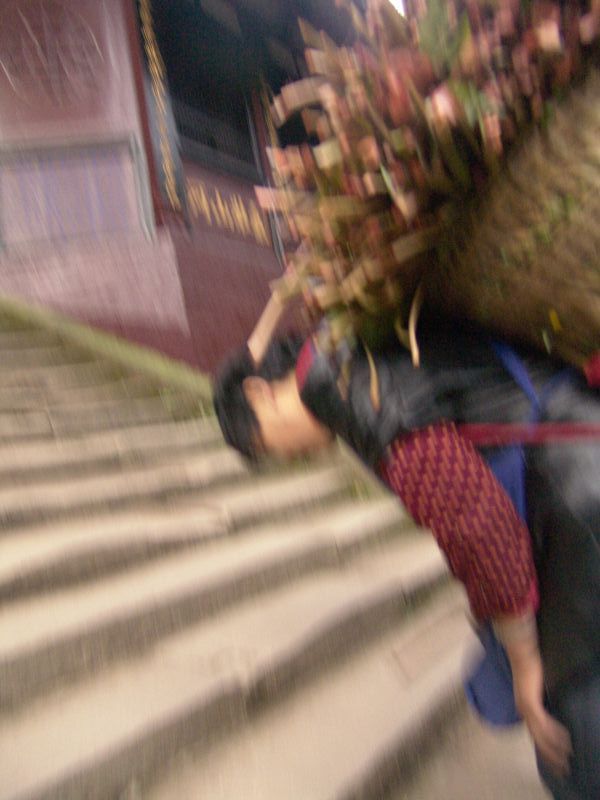dsc03135_jezouerduizeligvanworden.jpg