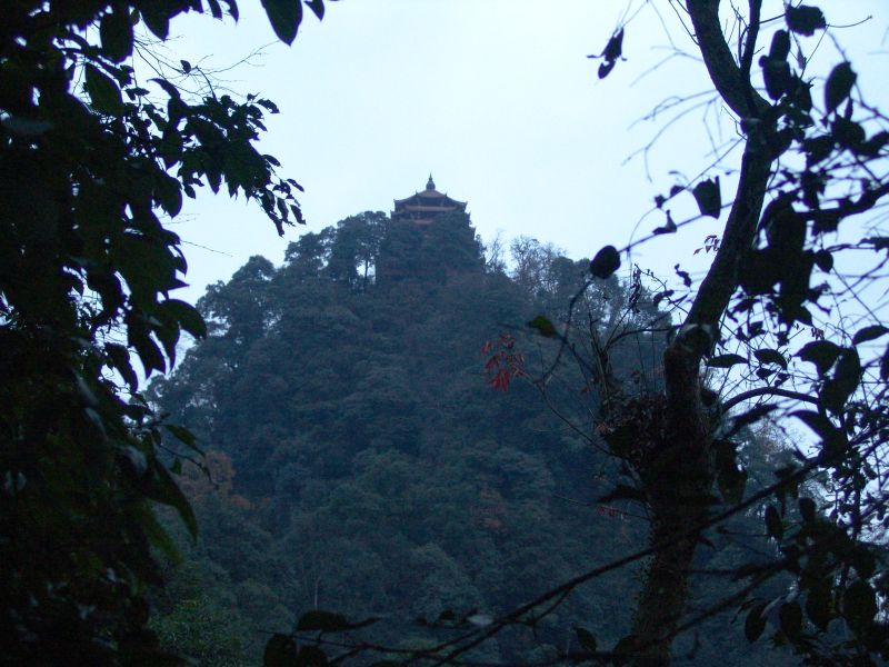 dsc03180.jpg