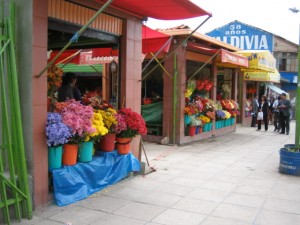 The Flower Market