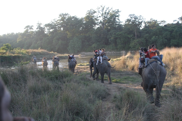 elephantsafari.jpg