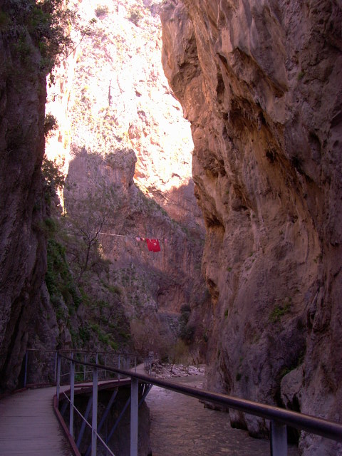 PIC00566.JPG