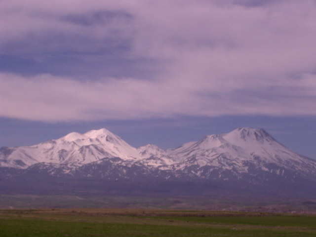 PIC00762.JPG