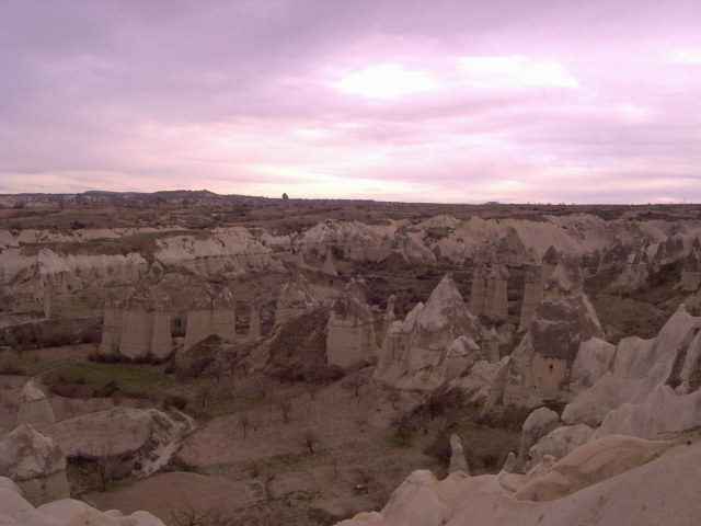 PIC00785.JPG