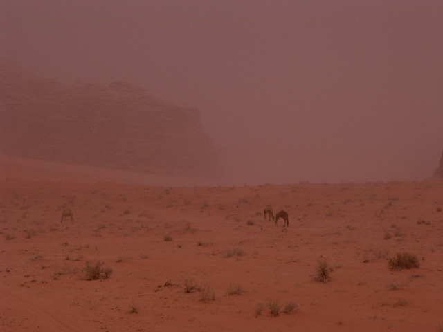 PIC01591.JPG