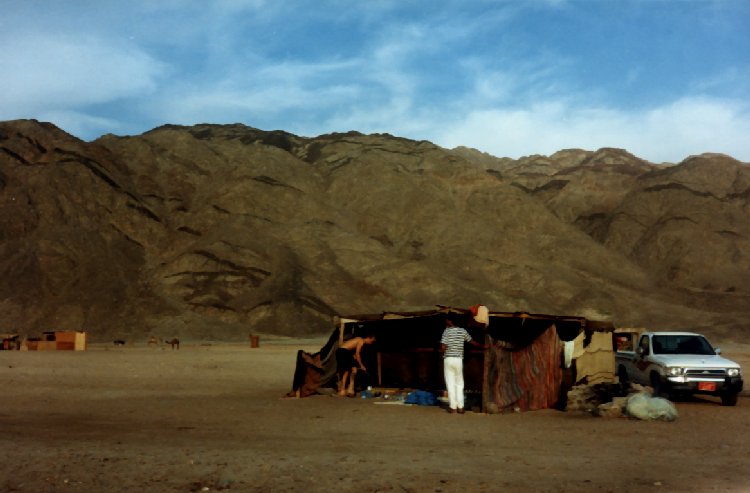 desert2.jpg