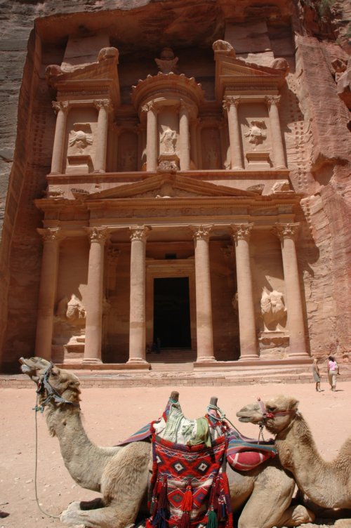 DSC_1203.jpg