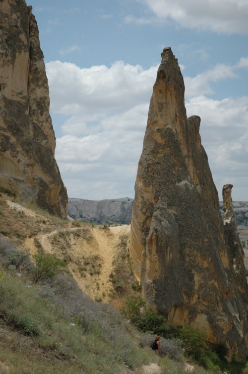 DSC_2261.jpg