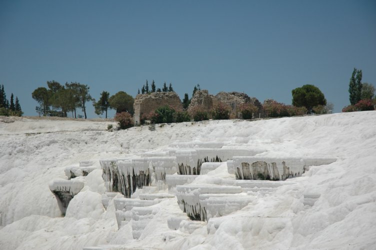 DSC_2876.jpg