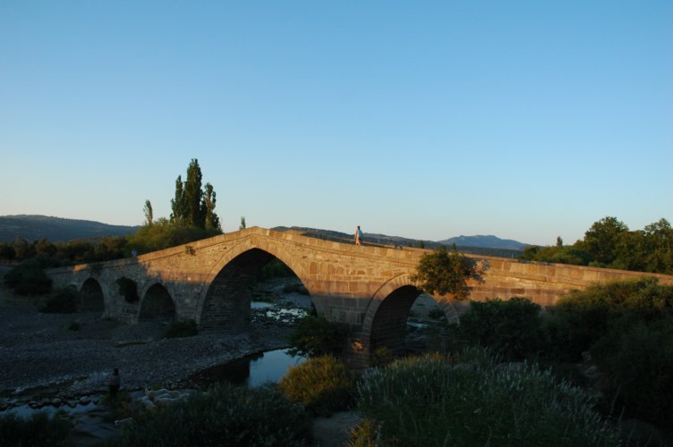 DSC_3014.jpg