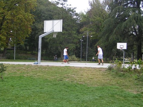basketball.JPG