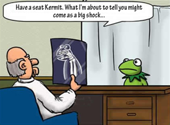 051117_kermit