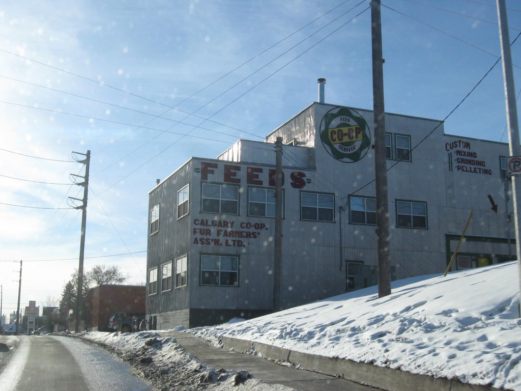 square box-like silver building with FEED written in big letters