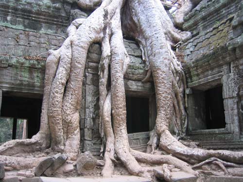 angkor2.JPG