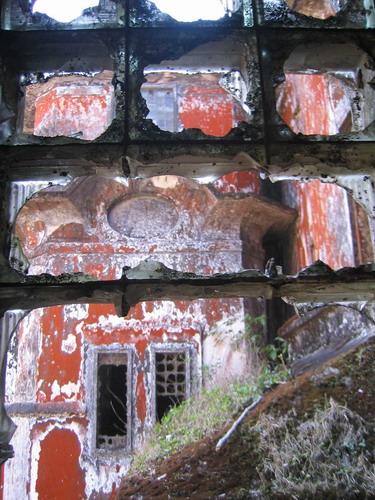 window.jpg