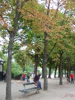 tuileries.JPG