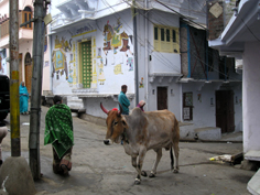Udipur.jpg