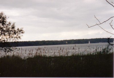 Wannsee.jpg