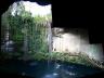 Panorama of a cenote