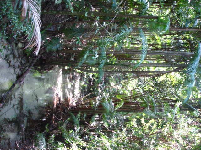 DSC00551.JPG