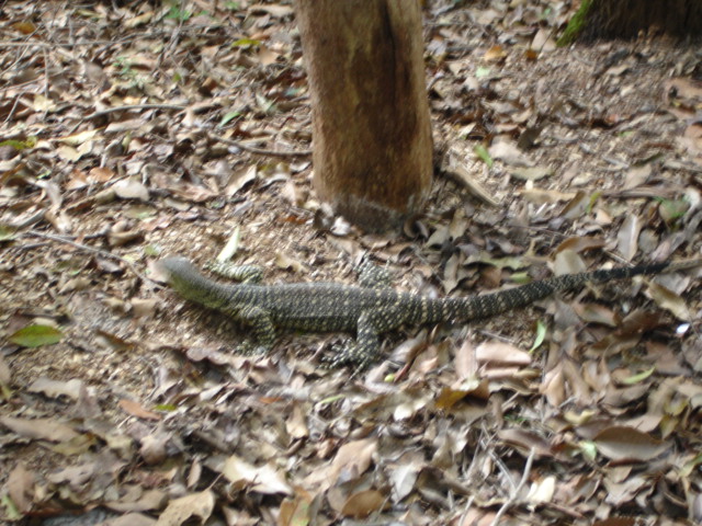 DSC00552.JPG
