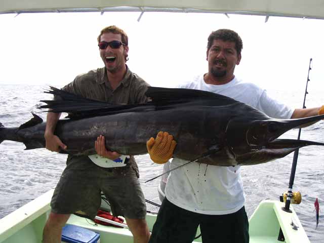 saildownfish-1.jpg