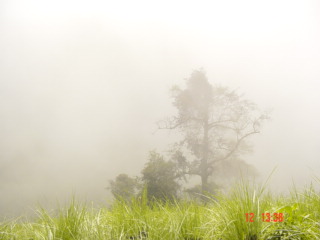 DSC00578.JPG