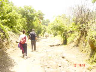 DSC00579.JPG