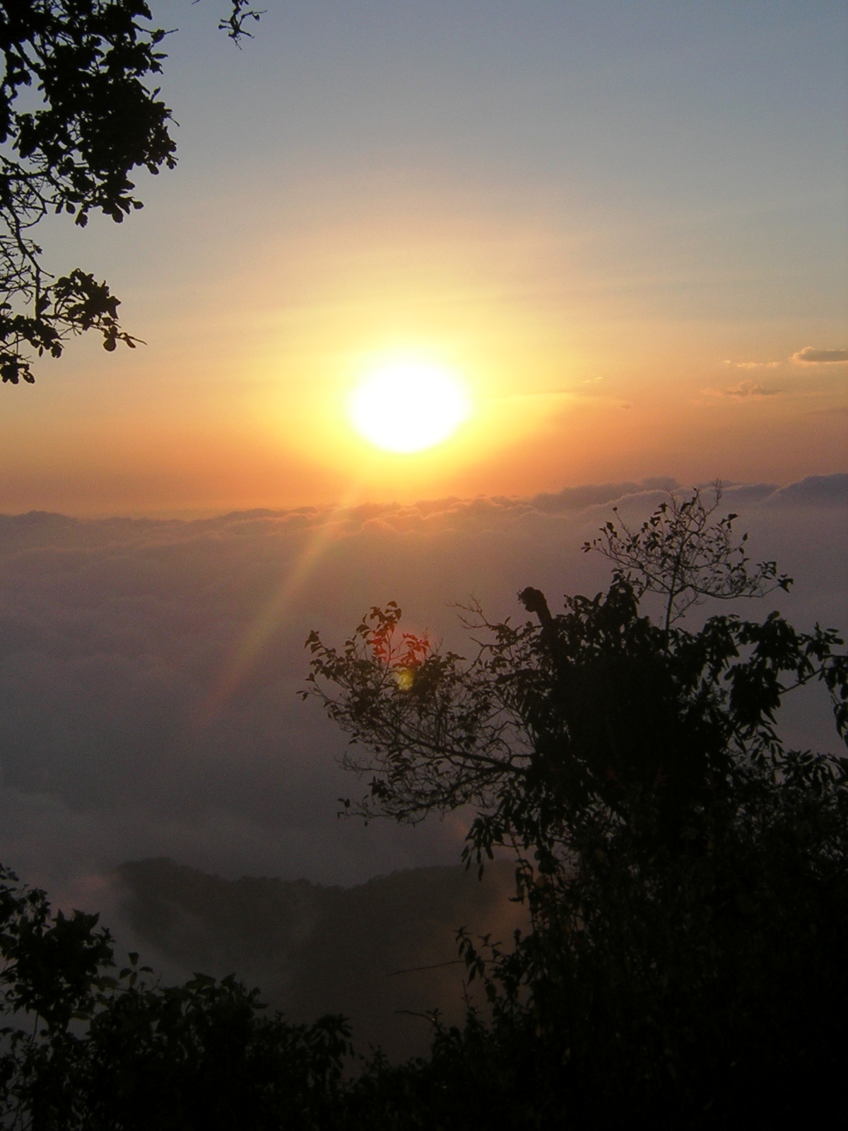 DSCN1295.JPG