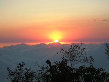 DSCN1299.JPG