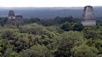 tikal-view.jpg