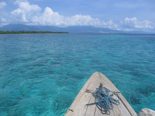 snorkelboat.jpg