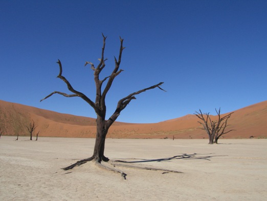 sosdeadvlei.jpg