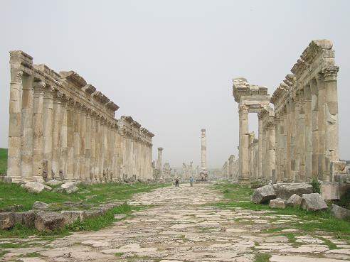 apamea.jpg